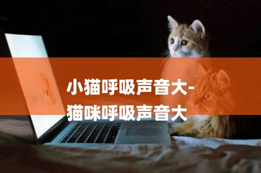 小貓呼吸聲音大-
貓咪呼吸聲音大