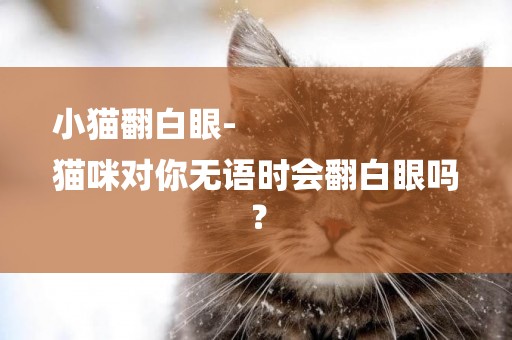 小貓翻白眼-
貓咪對你無語時會翻白眼嗎？