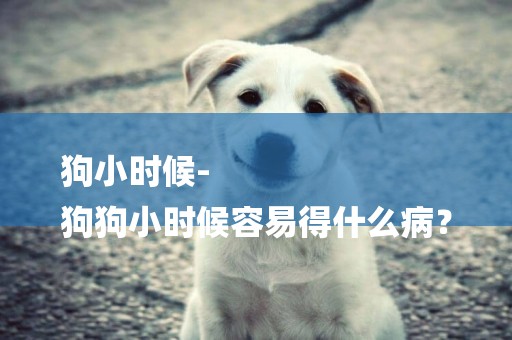 狗小時候-
狗狗小時候容易得什么病？