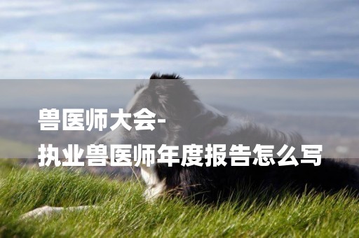 獸醫師大會-
執業獸醫師年度報告怎么寫