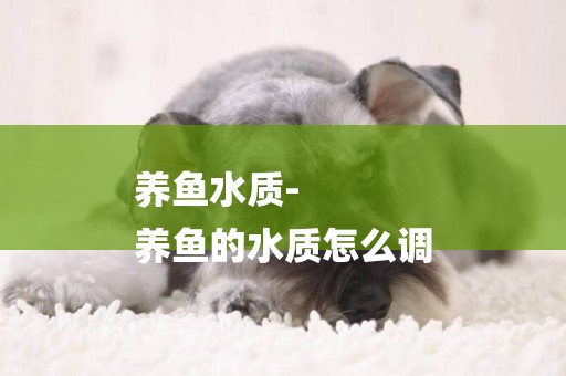 養魚水質-
養魚的水質怎么調