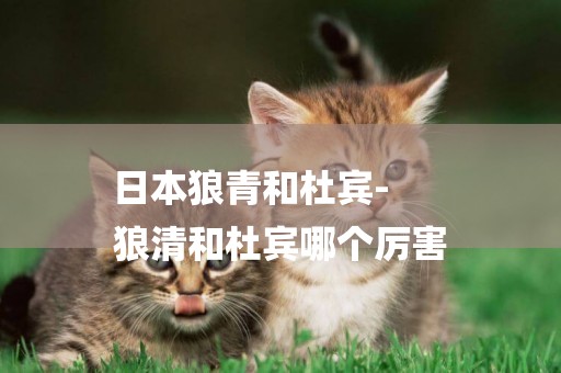 日本狼青和杜賓-
狼清和杜賓哪個厲害