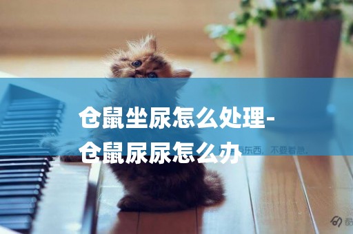 倉鼠坐尿怎么處理-
倉鼠尿尿怎么辦