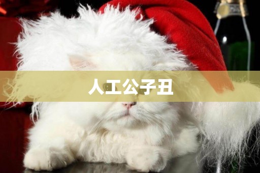 人工公子丑