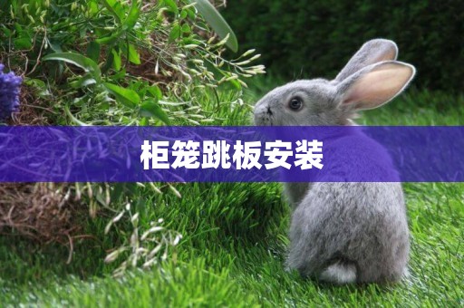 柜籠跳板安裝