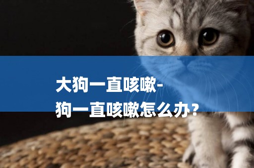 大狗一直咳嗽-
狗一直咳嗽怎么辦？