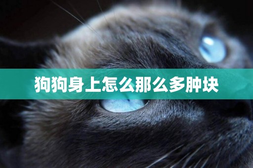 狗狗身上怎么那么多腫塊