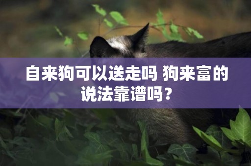 自來狗可以送走嗎 狗來富的說法靠譜嗎？