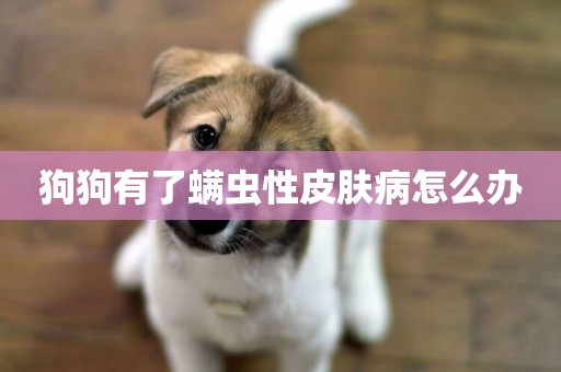 狗狗有了螨蟲性皮膚病怎么辦