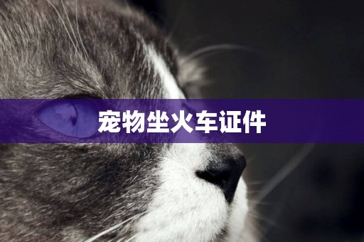 寵物坐火車證件