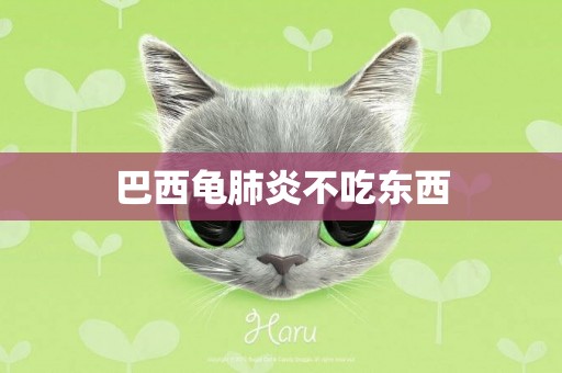 巴西龜肺炎不吃東西
