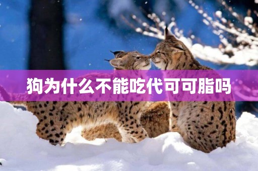 狗為什么不能吃代可可脂嗎