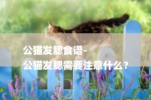 公貓發腮食譜-
公貓發腮需要注意什么？
