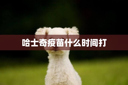 哈士奇疫苗什么時間打