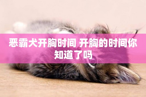 惡霸犬開胸時間 開胸的時間你知道了嗎