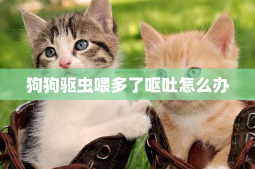 狗狗驅蟲喂多了嘔吐怎么辦