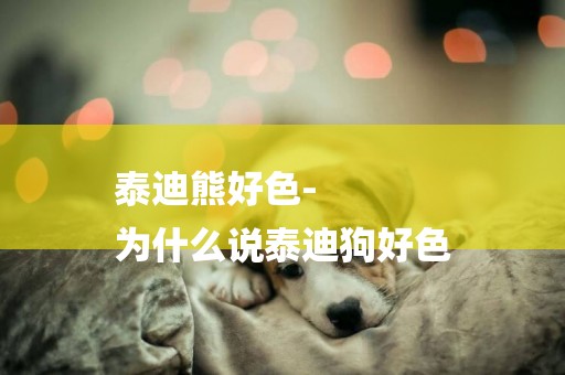 泰迪熊好色-
為什么說泰迪狗好色