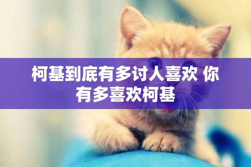 柯基到底有多討人喜歡 你有多喜歡柯基