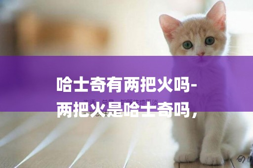 哈士奇有兩把火嗎-
兩把火是哈士奇嗎，