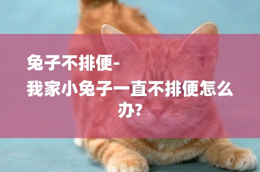 兔子不排便-
我家小兔子一直不排便怎么辦?