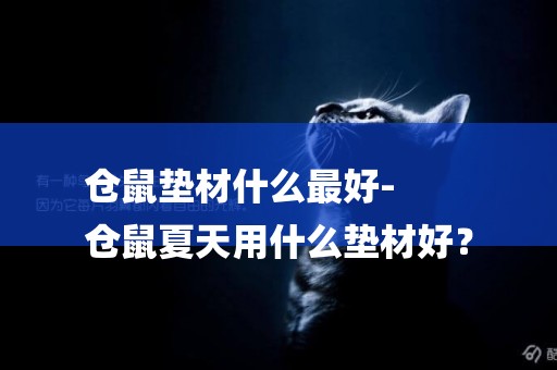 倉鼠墊材什么最好-
倉鼠夏天用什么墊材好？