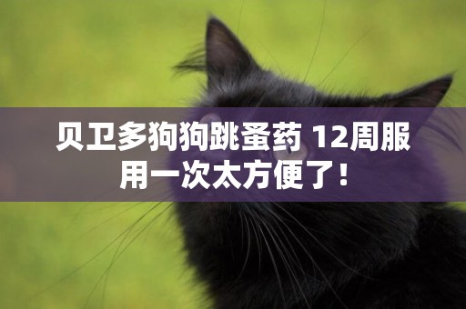 貝衛多狗狗跳蚤藥 12周服用一次太方便了！
