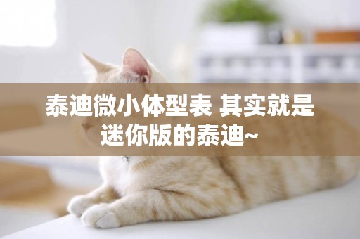 泰迪微小體型表 其實就是迷你版的泰迪~