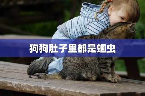 狗狗肚子里都是蛔蟲