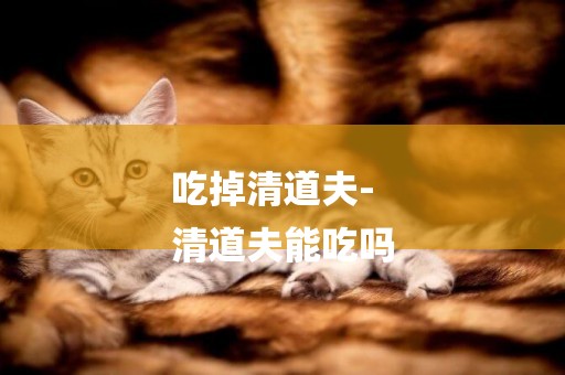 吃掉清道夫-
清道夫能吃嗎