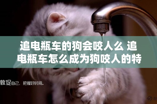 追電瓶車的狗會咬人么 追電瓶車怎么成為狗咬人的特征了？