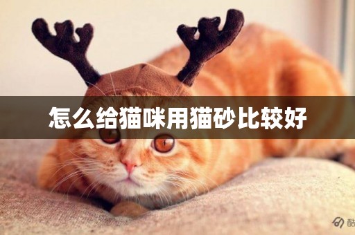 怎么給貓咪用貓砂比較好