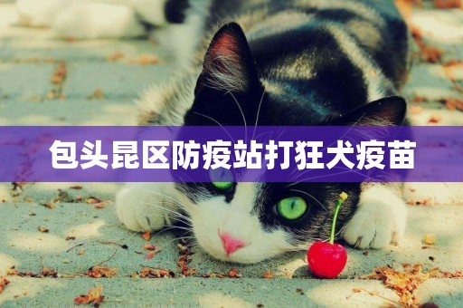 包頭昆區防疫站打狂犬疫苗