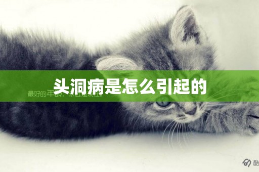 頭洞病是怎么引起的