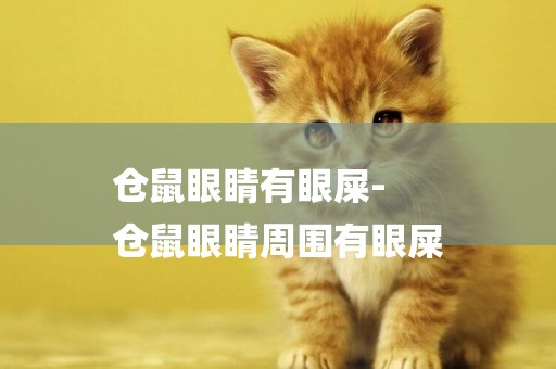 倉鼠眼睛有眼屎-
倉鼠眼睛周圍有眼屎