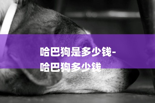 哈巴狗是多少錢-
哈巴狗多少錢
