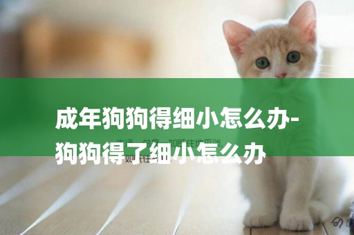 成年狗狗得細小怎么辦-
狗狗得了細小怎么辦