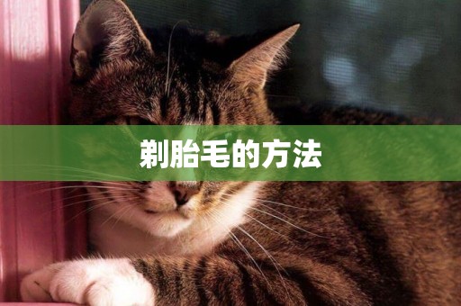 剃胎毛的方法