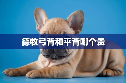 德牧弓背和平背哪個貴