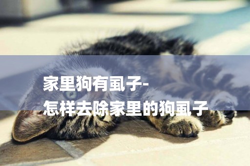 家里狗有虱子-
怎樣去除家里的狗虱子