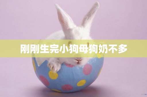 剛剛生完小狗母狗奶不多