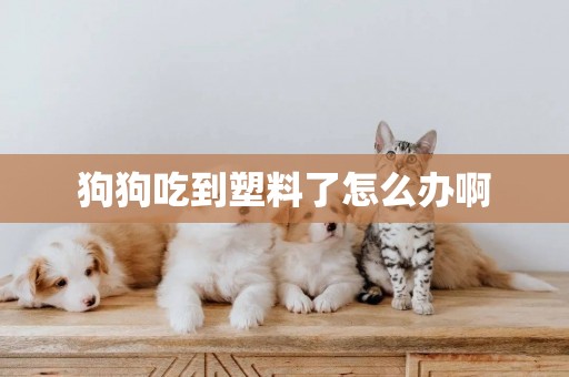 狗狗吃到塑料了怎么辦啊
