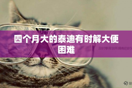 四個月大的泰迪有時解大便困難