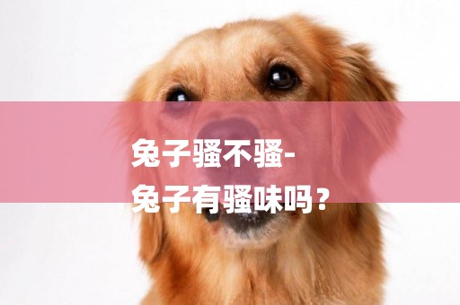 兔子騷不騷-
兔子有騷味嗎？