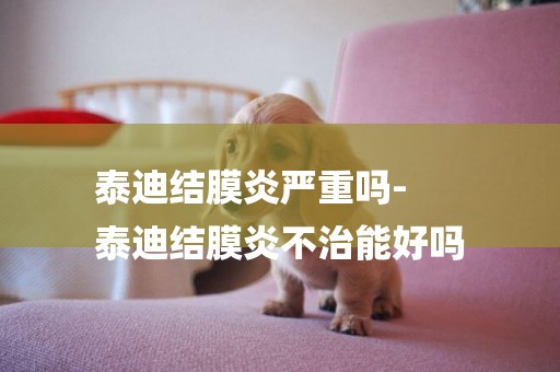 泰迪結膜炎嚴重嗎-
泰迪結膜炎不治能好嗎