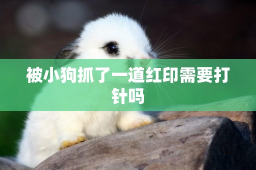 被小狗抓了一道紅印需要打針嗎