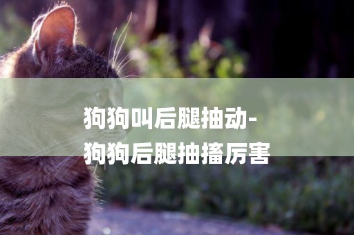 狗狗叫后腿抽動-
狗狗后腿抽搐厲害