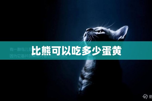 比熊可以吃多少蛋黃