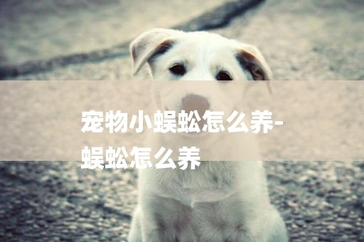 寵物小蜈蚣怎么養-
蜈蚣怎么養