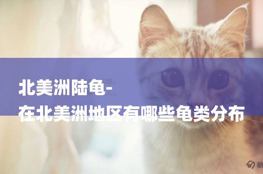 北美洲陸龜-
在北美洲地區有哪些龜類分布