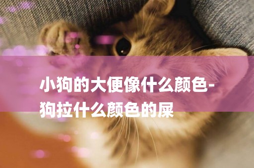 小狗的大便像什么顏色-
狗拉什么顏色的屎